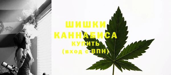 spice Пенза