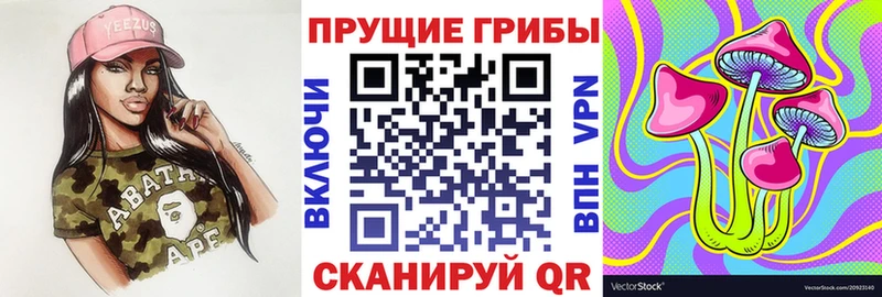 закладки  Камышин  Псилоцибиновые грибы Magic Shrooms 