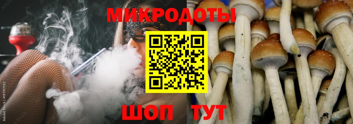 Псилоцибиновые грибы Cubensis Камышин